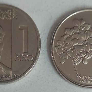 PHILIPPINES  1 PISO 2019 Coin(used)