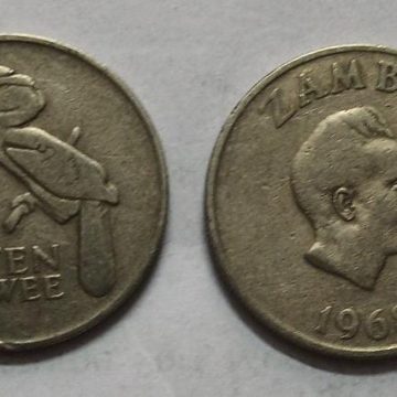 ZAMBIA 10 NGWEE 1968 Coin(USED)