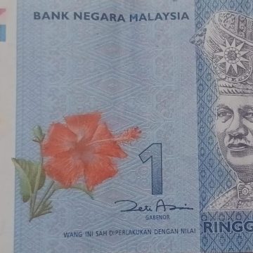 MALAYSIA Currency 1 Ringgit 2021 (Used)