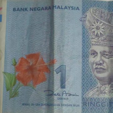MALAYSIA Currency 1 Ringgit polymer (Used)
