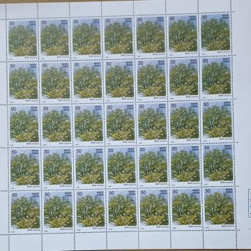 Flowering Trees - Crateva nurvala . Flower, Tree, Flame-of-The Forest, Spathodea campanulata, Fountain Tree, 35P - MNH (Stamp Full Sheets - 35stamps)