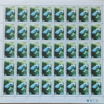 Himalayan Flowers - Blue Poppy. Wild Flower, Blue Poppy, Meconopsis aculeata, Botany, 35- MNH (Stamp Full Sheets - 40stamps)
