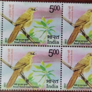 Vulnerable Birds. Grass warbler (Block of 4 TL Stamp)