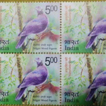 Vulnerable Birds. Wood pigeon  (Block of 4 TL Stamp)
